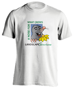 Logo Design for Landscape Services